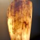 Grande lampe corne