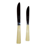 Ménagère 24 couteaux dans leur écrin.