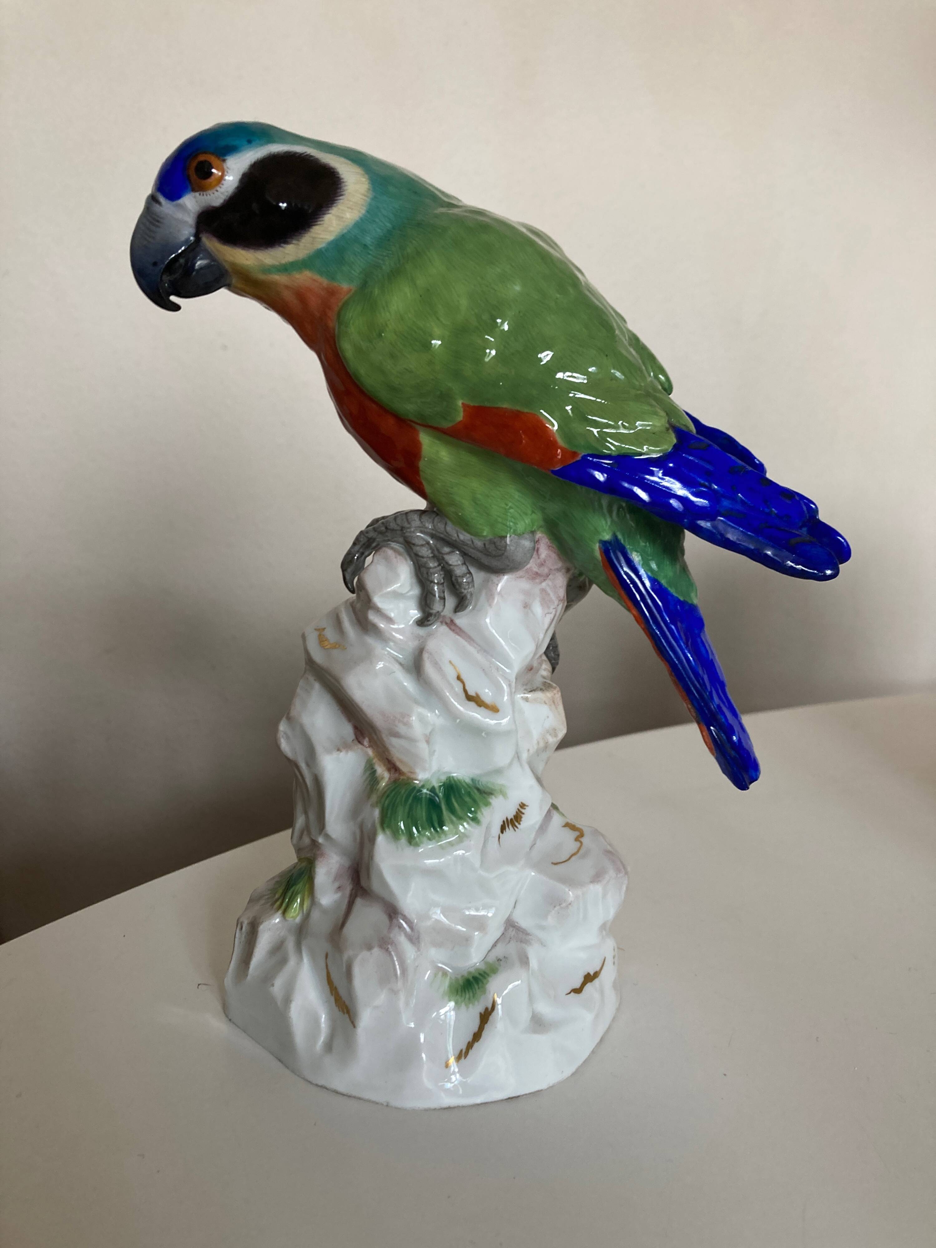 19th century Saxony porcelain parrot signed