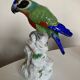 19th century Saxony porcelain parrot signed