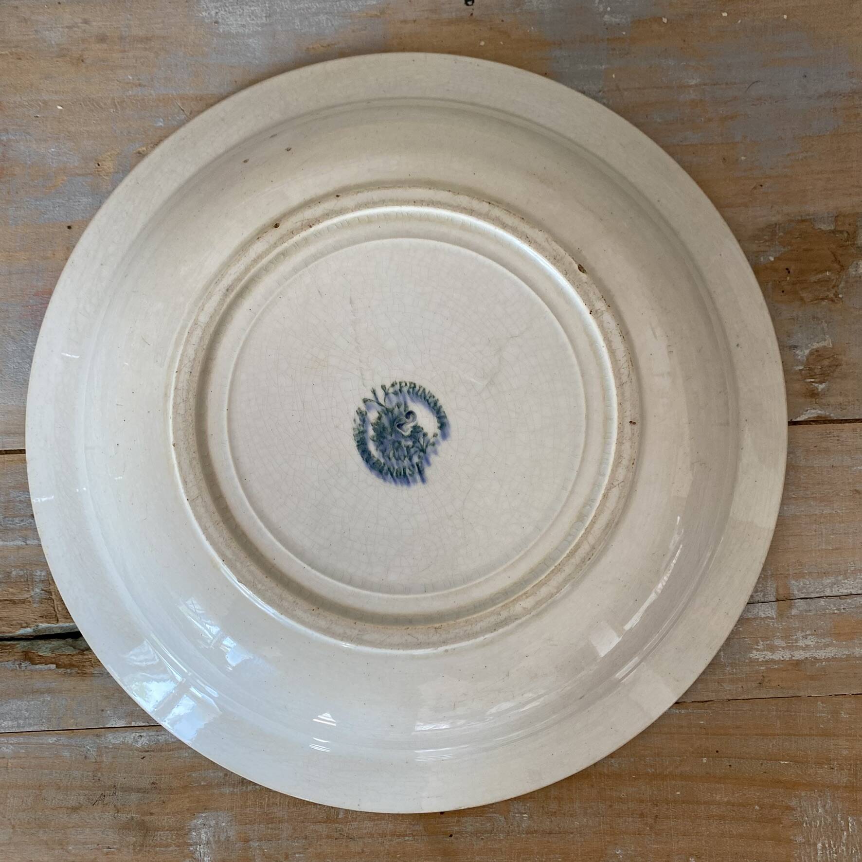Shallow dish in ironstone 28 cm, Printania Amandinoise