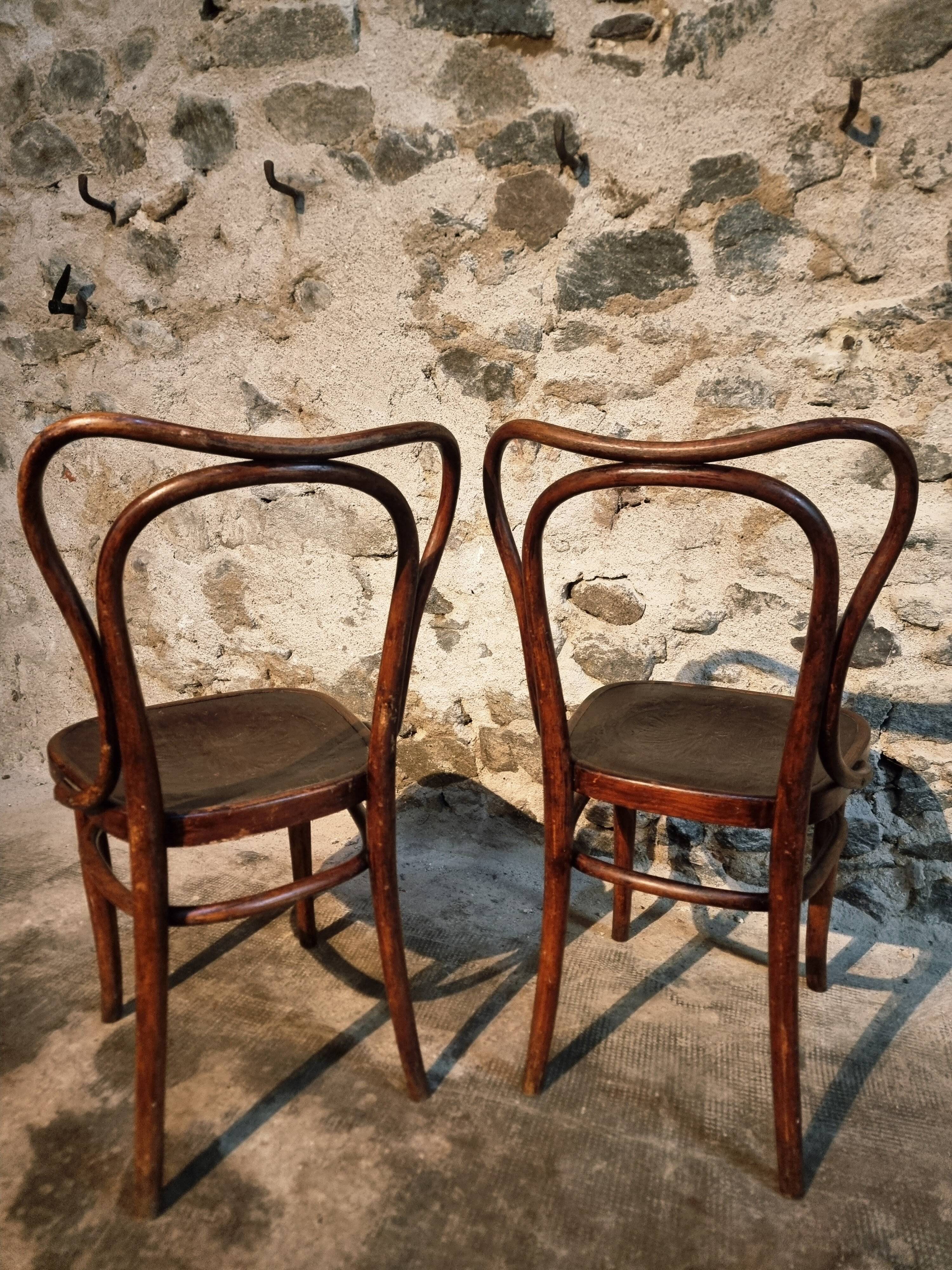 Pair of curved wooden chairs by Jacob & Josef Kohn, Vienna circa 1900