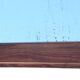 Vertical rectangular mirror in solid wood 118x75, brand Flabec, vintage.