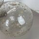 Set of 2 glass ball and oak Wooden Table Lights by Temde Lights, Germany 19