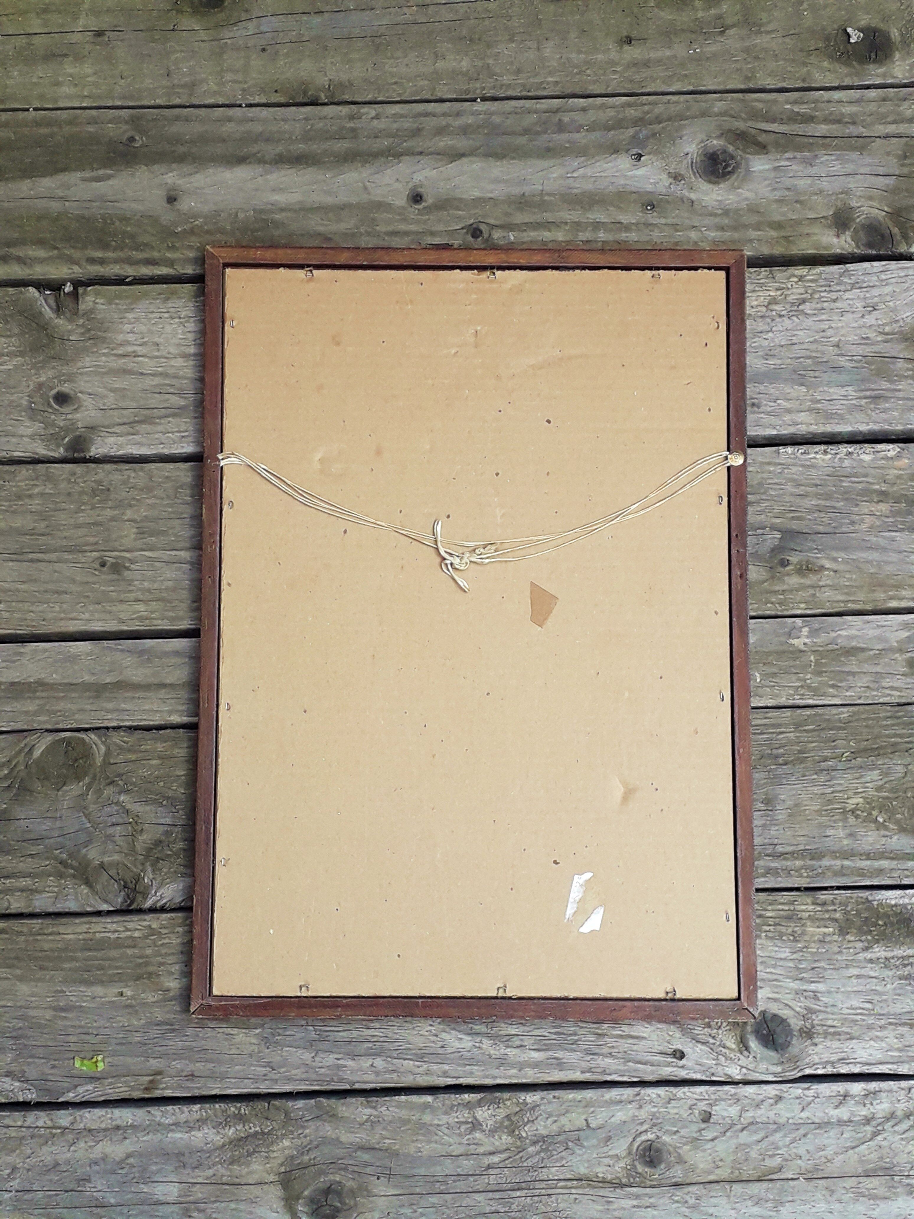 Miroir illustré 1960 42x30cm