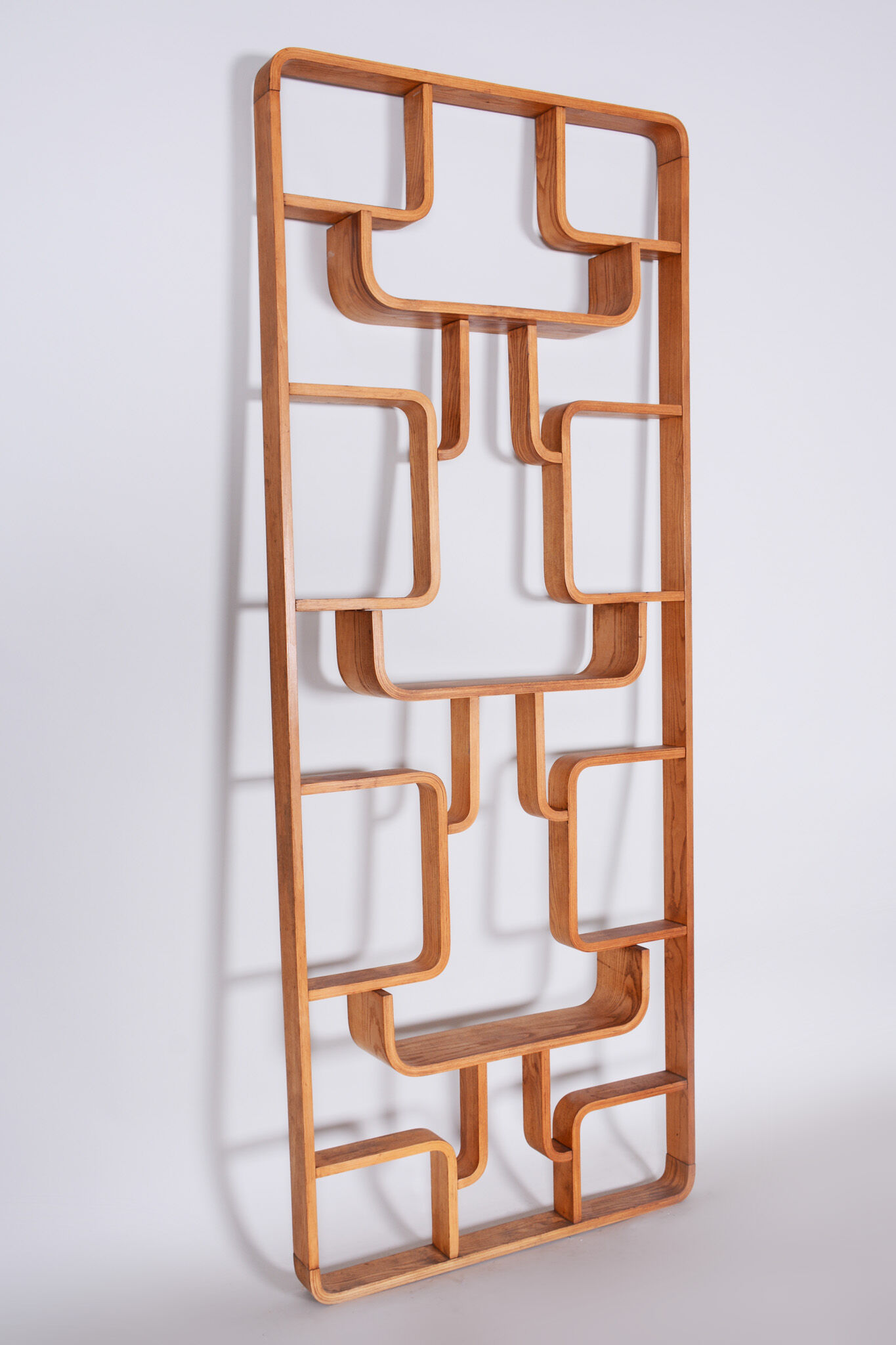 Ash Room Divider Wall Unit, Ludvik Volak for Drevopodnik Holesov, 1960s