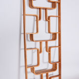 Ash Room Divider Wall Unit, Ludvik Volak for Drevopodnik Holesov, 1960s