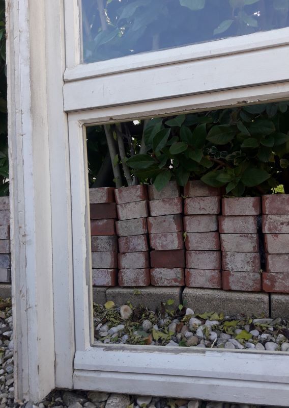 Wooden canopy 3 windows with bellows and abbatant