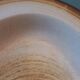 Longchamp dish