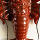 Slurry lobster