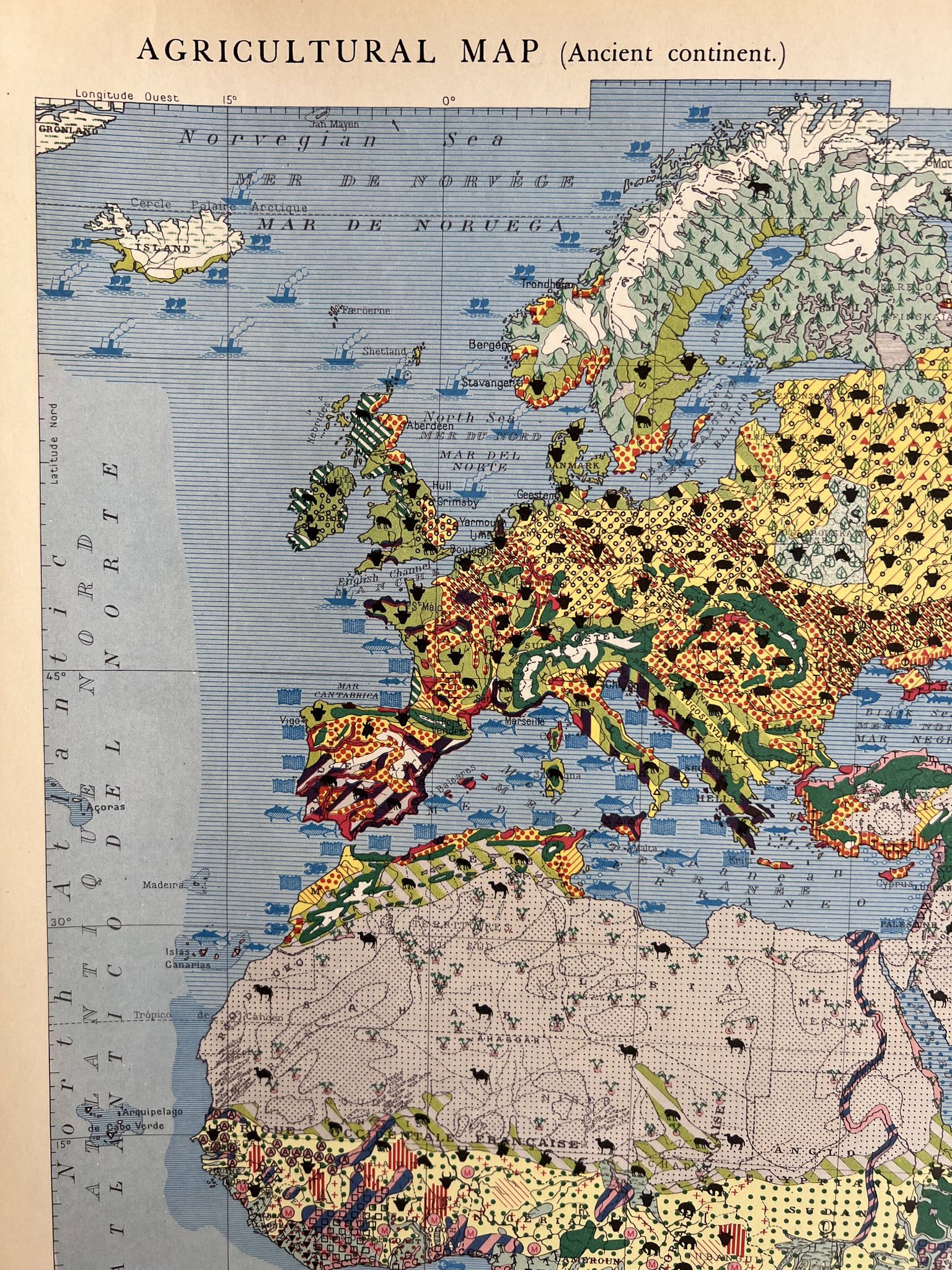 Carte agricole ancienne Ancien Continent — Végétation, Cultures, Éleva