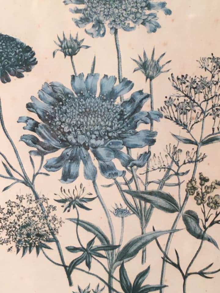 Table flowers under glass with wooden frame