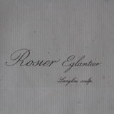 Framed engraving by P.J.Redouté Rosier Eglantier