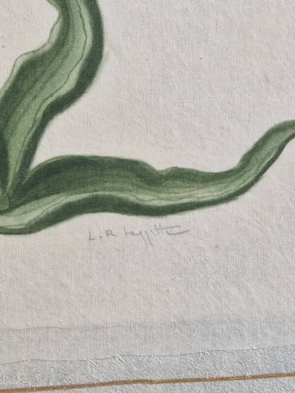 La Roche Laffitte (Born in 1943) - Watercolour drawing on silk - Tulip