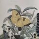 Engraving from 1886 - Tropical Butterflies (3) - Antique lithograph, plate