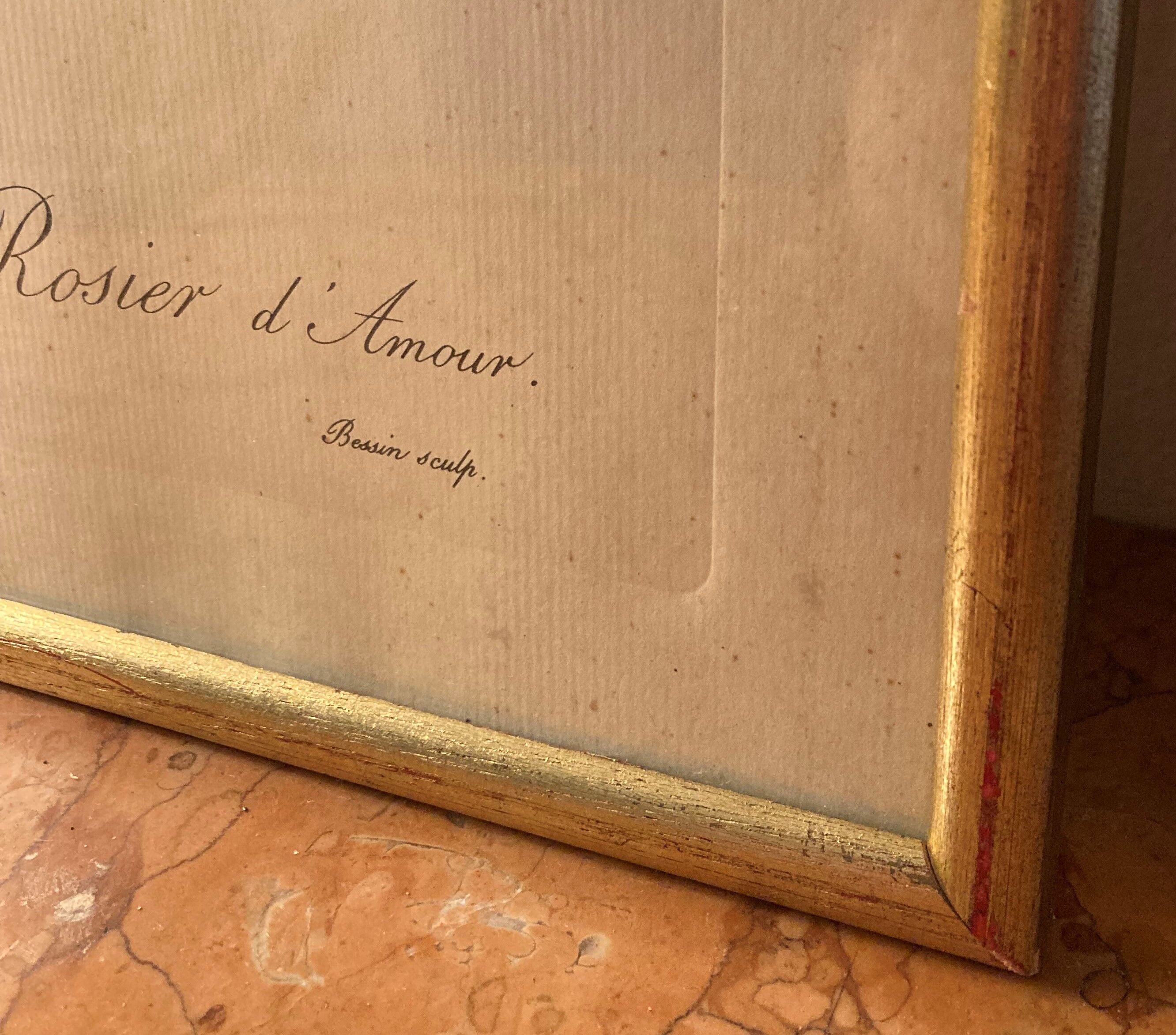 Set of two lithographs Rose Redfearé