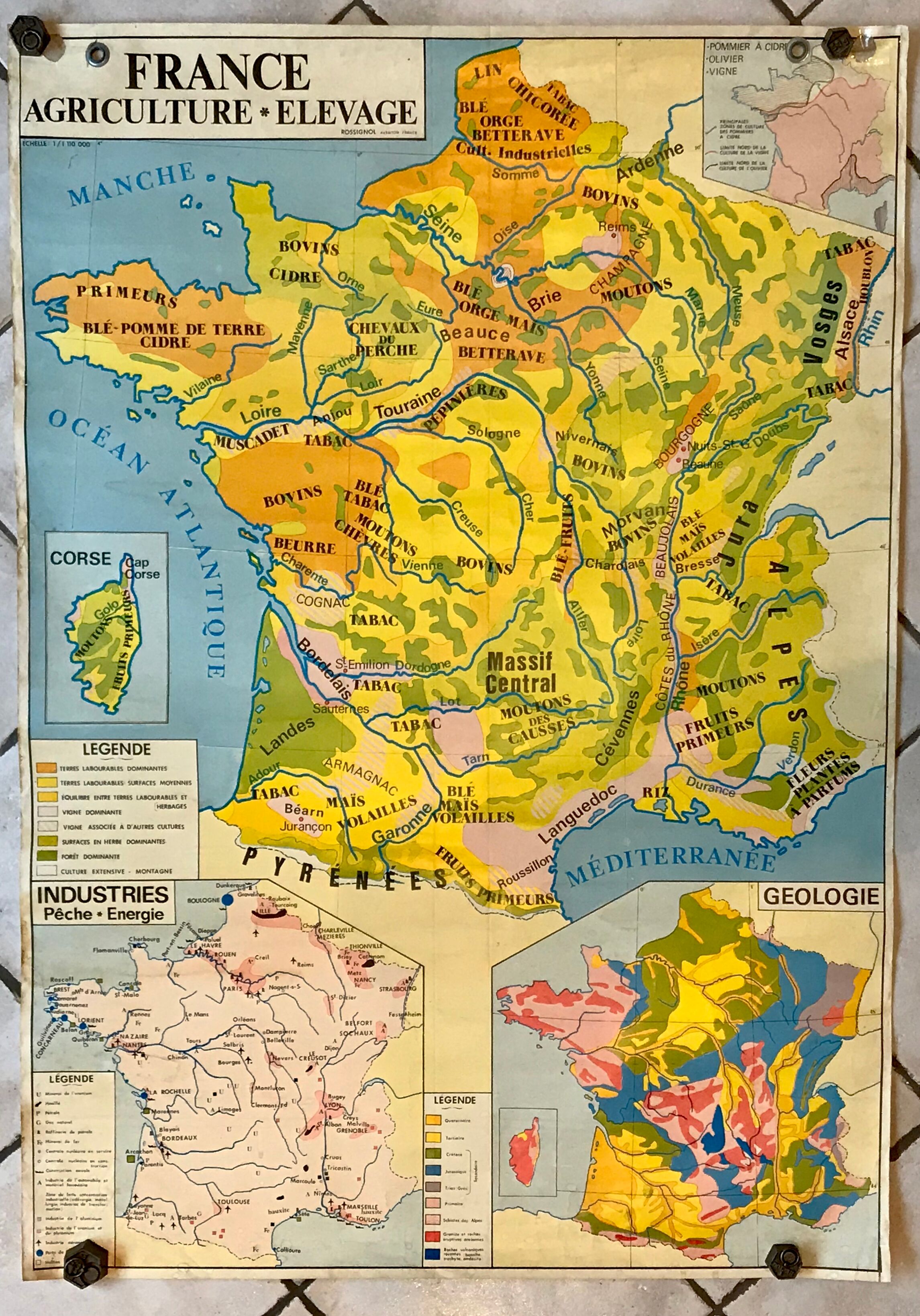 School map of france agriculture & livestock and administrative france 50s-60s