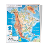 Vintage school map