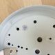 Pair of speckled glass ball wall lights from Vianne, half sphere