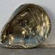 Cendrier en bronze en forme de coquille d'huître