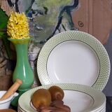 Six earthenware plates of SALINS service "ISERAN" 50s