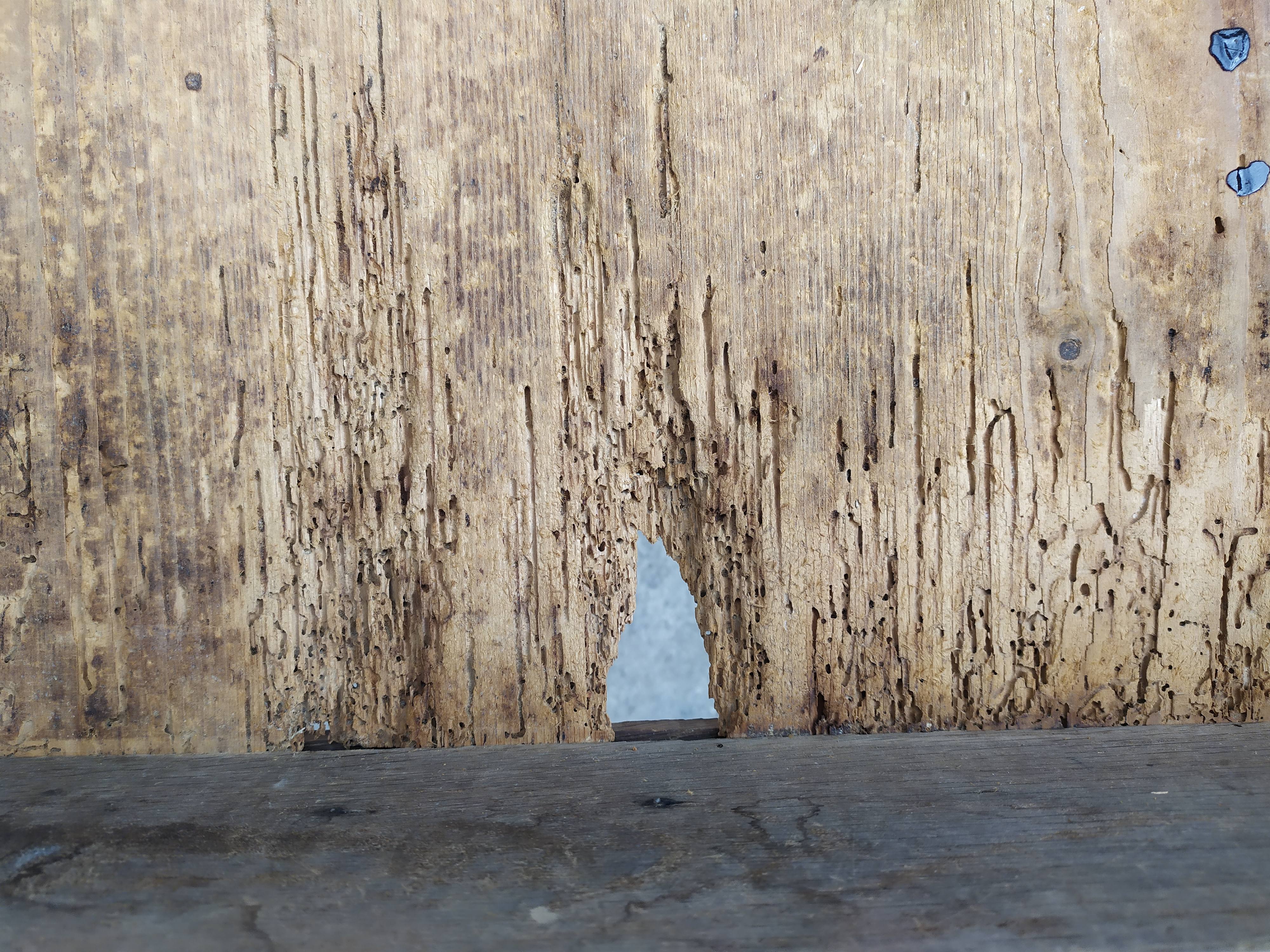 Table de ferme rallonge