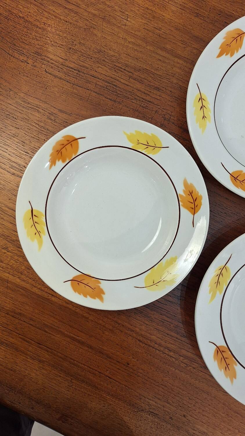 Set of Moulin des Loups autumn soup plates