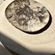 Very large pocket or dish in petrified wood
