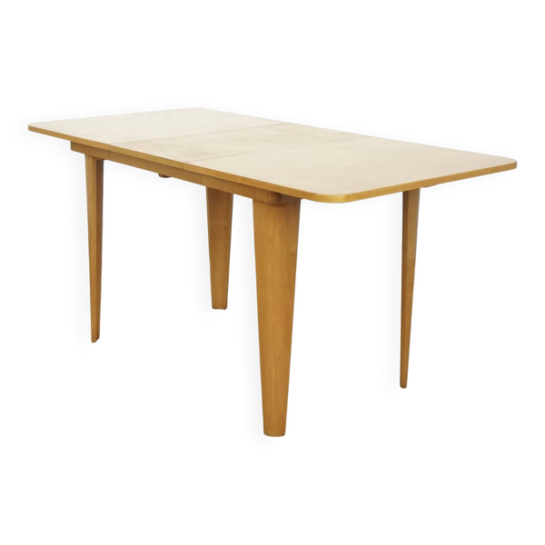 Table de salle à manger extensible Cor Alons pour Gouda Den Boer