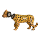 Panther with secret chest
