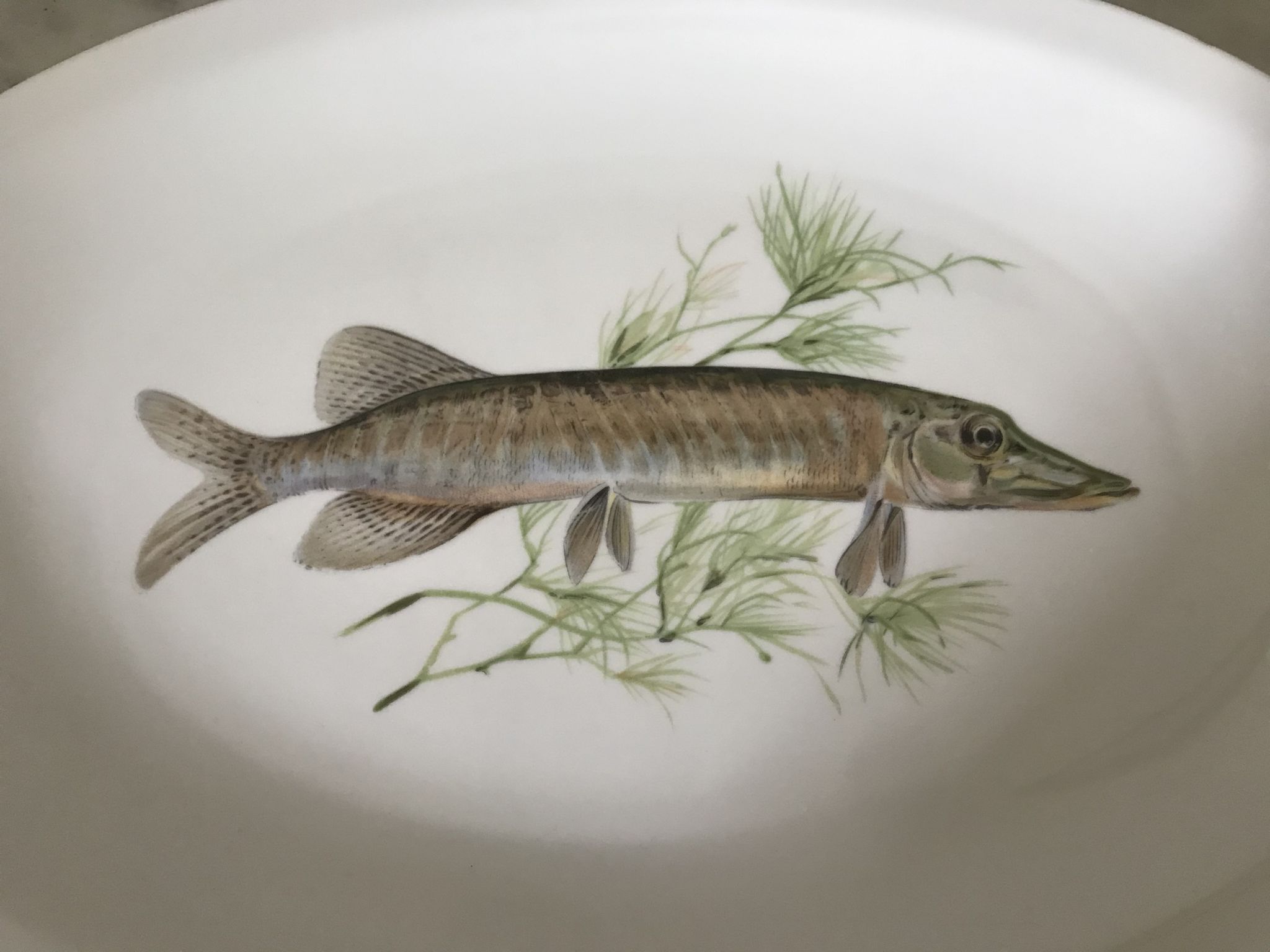 Porcelain oval dish