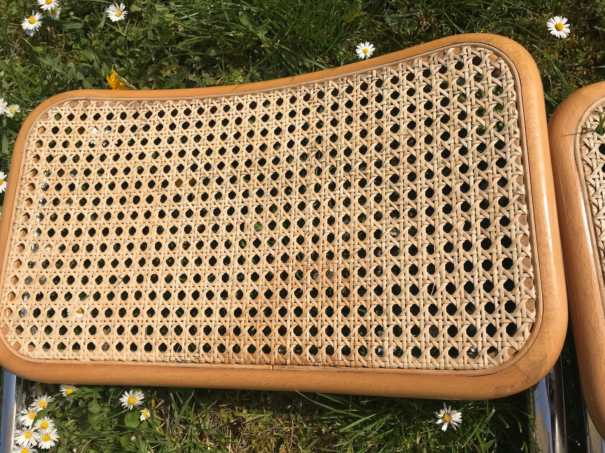 Set of 6 chairs cesca b32 design Marcel Breuer italy