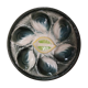 6 oyster plates