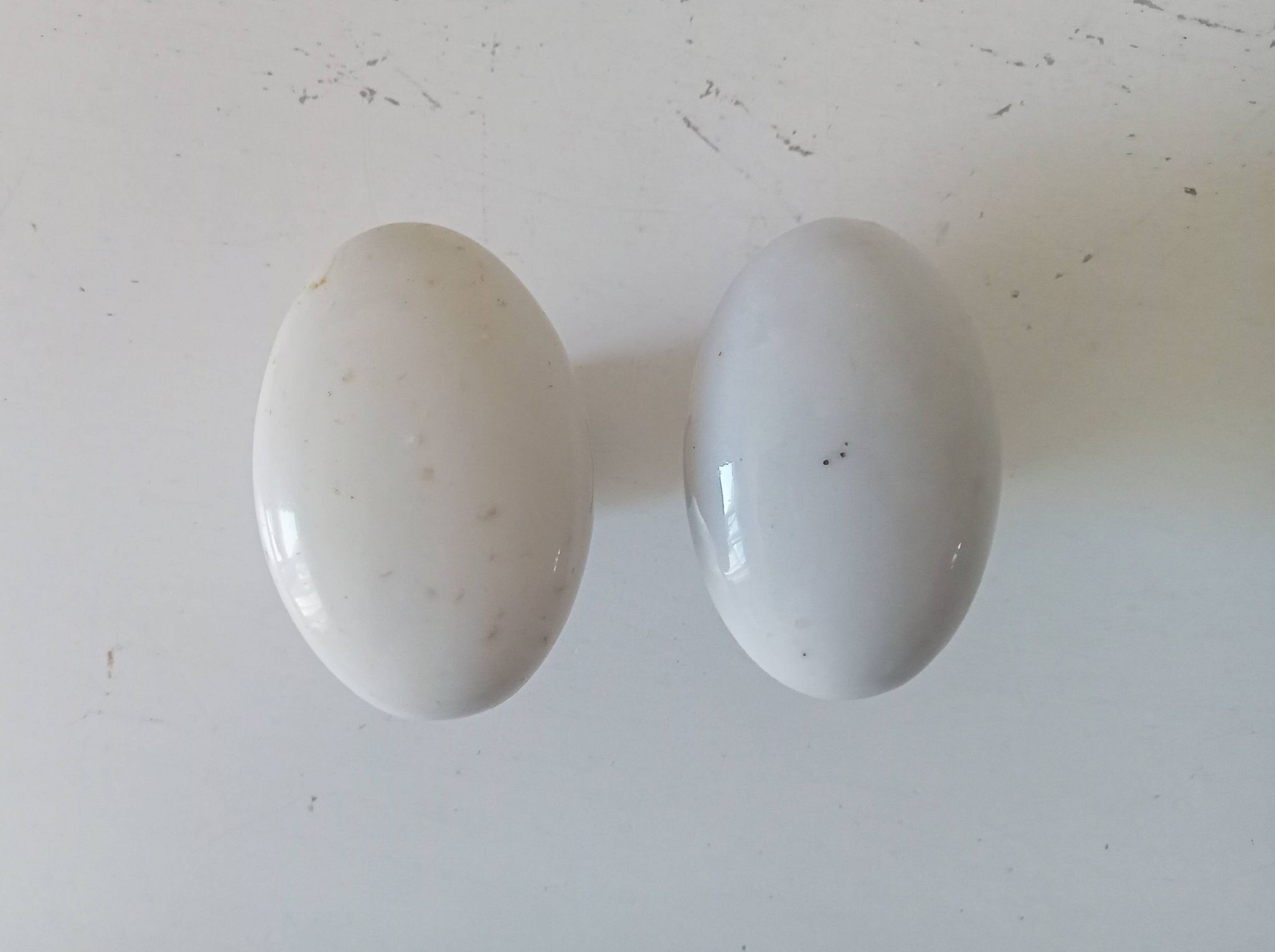 Pair of antique oval door handles in porcelain and brass.
