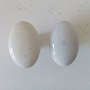 Pair of antique oval door handles in porcelain and brass.