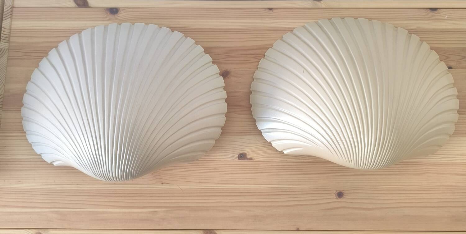 Pair of shell wall lights by Michèle Mahé, 1960s