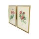 Vintage sixties roses framed botanical print cards p.j. redoute 42x32cm