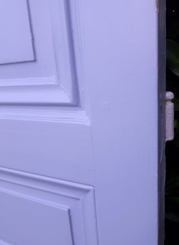 Porte 225,5x80 haussmannienne