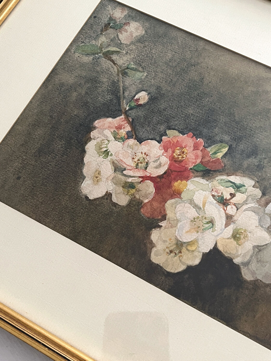Old watercolour and gilded frame with cherry blossoms.