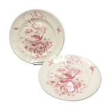 2 ancient plates longchamp congo ostrichs antique french plate ostrich