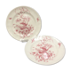 2 ancient plates longchamp congo ostrichs antique french plate ostrich