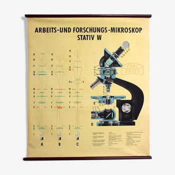 Affiche "Microscope" tableau mural Carl Zeiss 1949