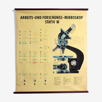 "Microscope" Carl Zeiss 1949 wall chart poster