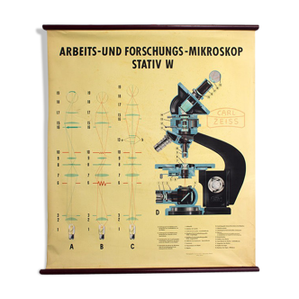 "Microscope" Carl Zeiss 1949 wall chart poster