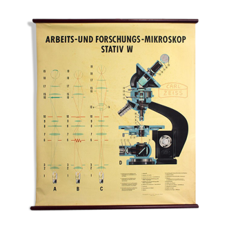 Affiche "Microscope" tableau mural Carl Zeiss 1949