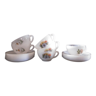 Arcopal cups and saucers