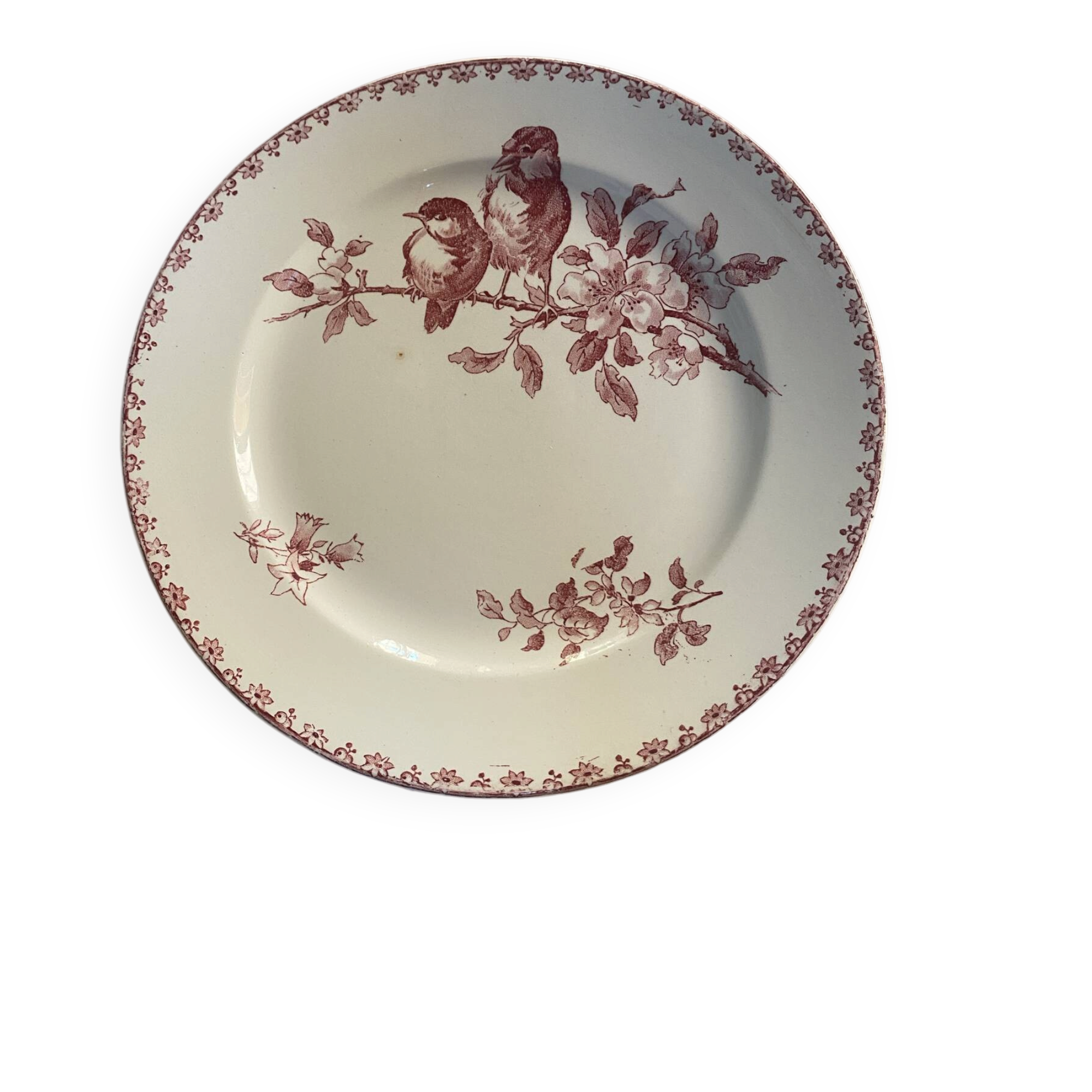 Assiette plate modèle Favori de Sarreguemines