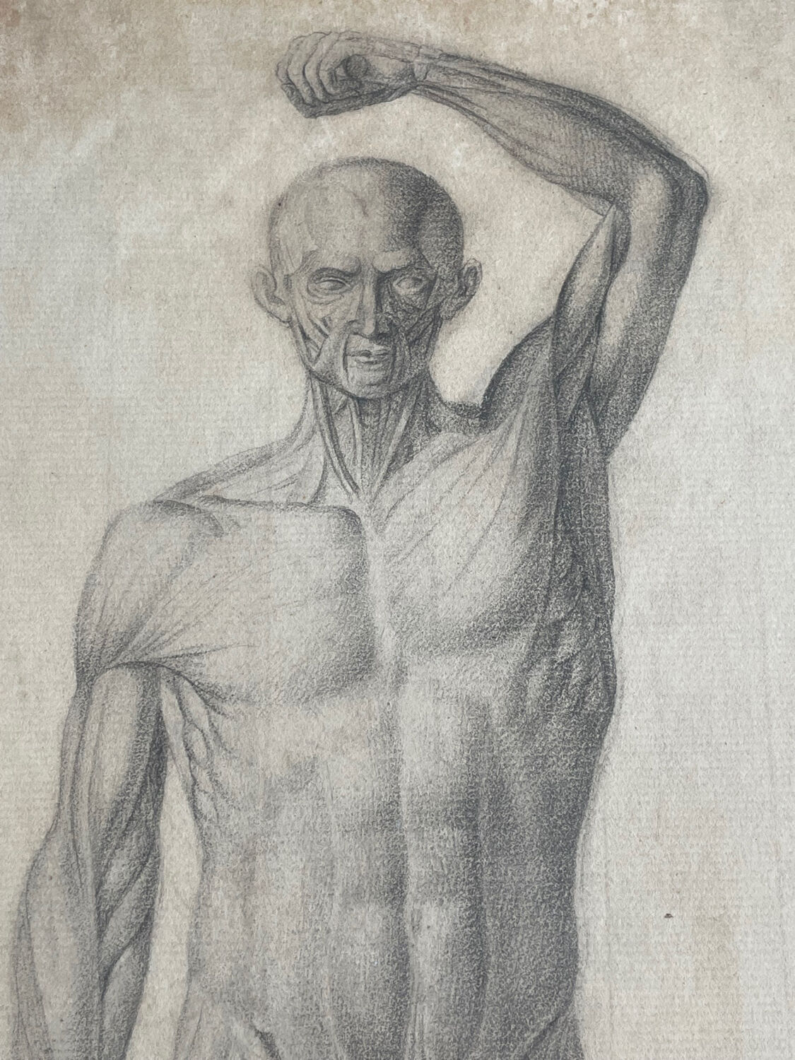 Tableau dessin ancien homme écorché Anatomie XVIIIe