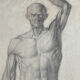 Tableau dessin ancien homme écorché Anatomie XVIIIe