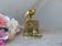 Golden brass cat figurine on fence looking at a mouse in a Vintage India shoe